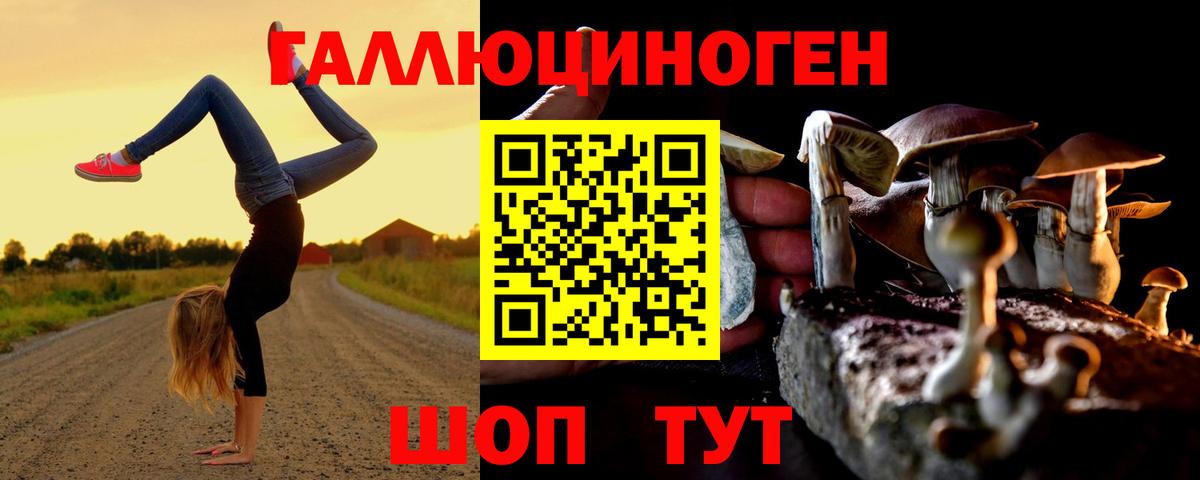 Чехов  Псилоцибиновые грибы прущие грибы  Псилоцибиновые грибы MAGIC MUSHROOMS  Вход с VPN 
