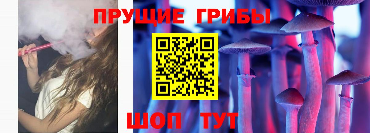 Псилоцибиновые грибы мухоморы Чехов